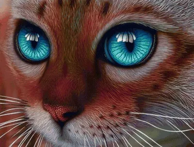 Породы кошек с зелёными глазами - Кот, пёс и я