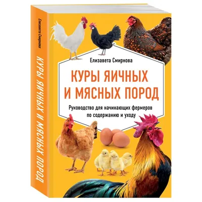 Куры мини мясные: описание породы, фото | Минимясные палевые куры