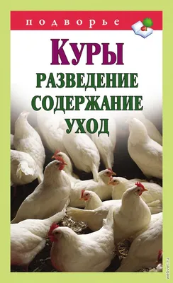 Как правильно выбрать породу кур для разведения?