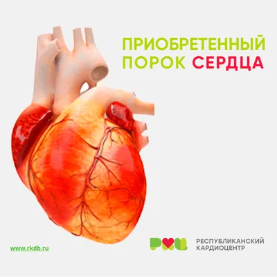 Врожденный порок сердца, о котором вы можете не подозревать. Двустворчатый  аортальный клапан | SMARTCARDIO | Дзен