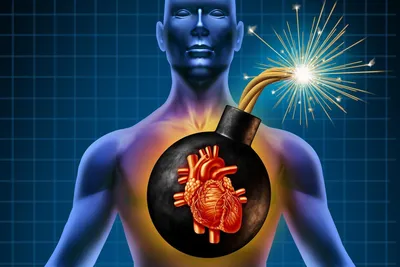 Пороки сердца: причины, симптомы, виды, лечение и прогноз - Belhope  Consulting