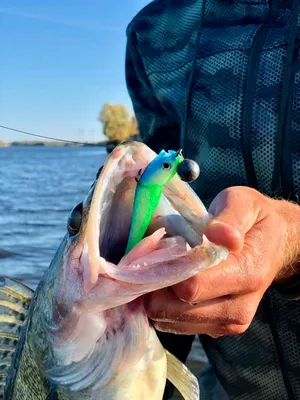 Поролоновая рыбка Проф Монтаж Dancing Fish 4,0\": купить недорого в Киеве,  Харькове ― Рыболов - Эксперт