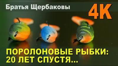 Поролоновые Рыбки. Видео | Выпуск №82