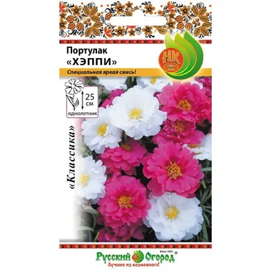 Продажа рассады район 8 школа, разные сорта помидор, перца,баклажан(400) ,а  также цветов петуния,портулак(100тг). 87774189873. | Instagram