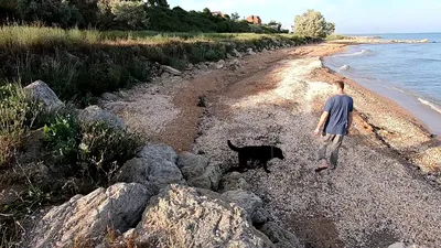 Посёлок Ильич, прогулка до пляжа. - YouTube
