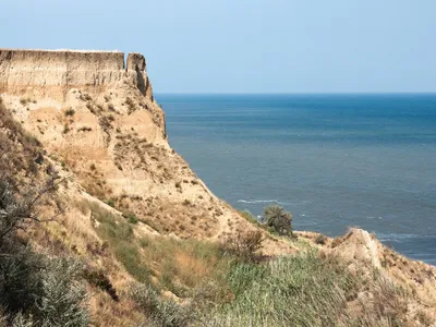 Пляж, пляж, Краснодарский край, Темрюкский район, Запорожское сельское  поселение — Яндекс Карты