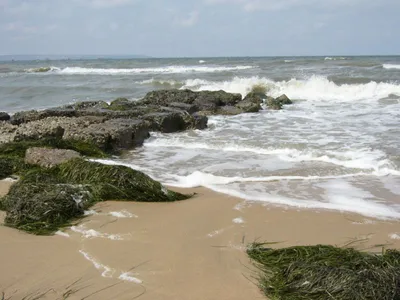 Путешествие на Таманский полуостров (Азовское море, Черное море),  Краснодарский край — Lada Калина 2 универсал, 1,6 л, 2013 года |  путешествие | DRIVE2