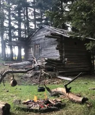 Если на вас напал медведь - ЯПлакалъ