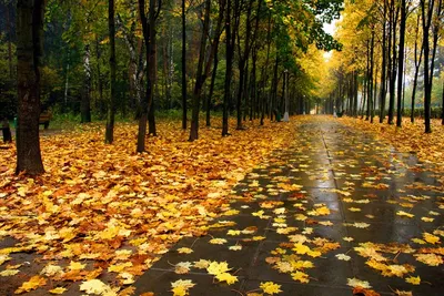 Последний день осени - Стихи