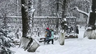 Последний день осени :: Мила Раменская (Забота) – Социальная сеть ФотоКто