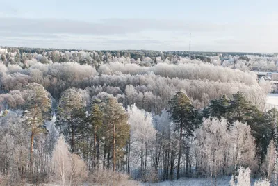 Последний день осени | Пикабу