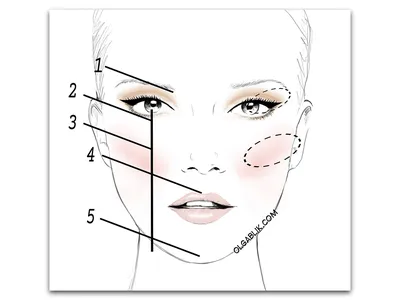 Как правильно наносить макияж на лицо - средства для правильного нанесения  макияжа