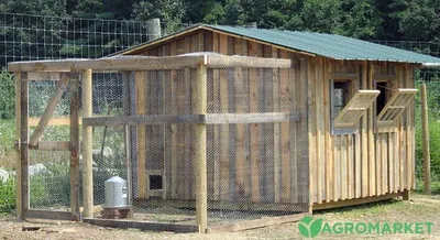 Tasty Farm - курятник