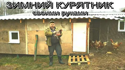 ЗИМНИЙ Курятник СВОИМИ РУКАМИ ДЛЯ НЕСУШЕК на 100 КУР - YouTube