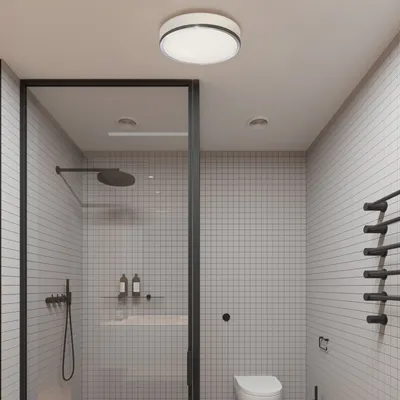 Потолочные светильники для ванной, светильник в ванную комнату потолочный  купить недорого с доставкой в Киев и по Украине