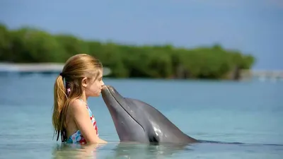 Картинки девушка, дельфин, море, поцелуй, голубая, вода, лето, красота -  обои 1440x900, картинка №397616