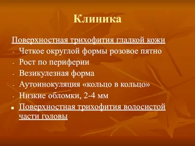 Лекция № 6 для студентов педиатрического факультета Грибковые заболевания  кожи - презентация, доклад, проект