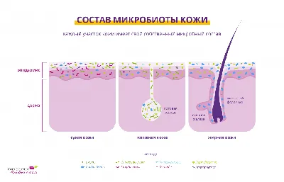 Красная волчанка: поражения кожи — СПБ ГБУЗ «Кожно-венерологический  диспансер № 4»