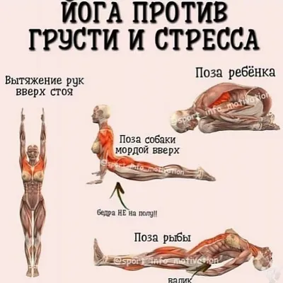 Женщина В Йога Поза Рыбы Matsyasana — стоковые фотографии и другие картинки Поза  рыбы - Поза рыбы, Активный образ жизни, Белый - iStock