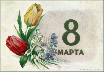 Печать красивых фигурных открыток с персонализацией к 8 марта! Макеты! -  DynamicPrint.ru