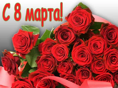 Поздравление С Днем 8 Марта от имени депутата АКЗС И. В. Солнцевой | Газета  «Сельчанка»