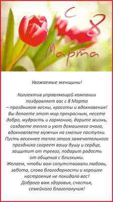 Поздравление с 8 Марта! - Ошколе.РУ