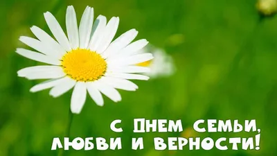 8 ИЮЛЯ- ДЕНЬ СЕМЬИ!«С днем семьи, любви и верности!» – СПБГБУЗ \"Городская  поликлиника №37\"