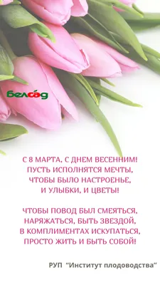 https://vk.com/pozdravleniya_vk