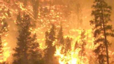Пожарные призывают к повышенной осторожности в лесу / Статья