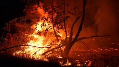 На юге Китая вспыхнул масштабный лесной пожар - Korrespondent.net