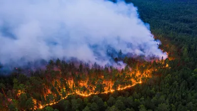 Там ад, огонь вовсю». Пожар, унёсший жизни 14 человек, и обвинения в  халатности