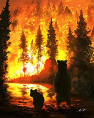 Пожар в лесу в Геленджике 18 августа 2023: причины возгорания, фото и видео  с мечта ЧП - KP.RU