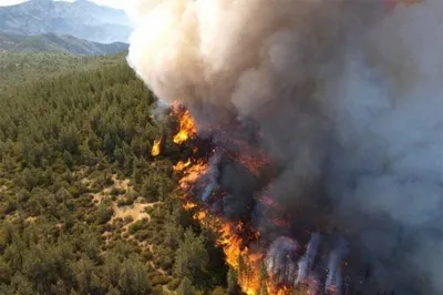 Лесной пожар тушили ночью 130 человек в Белыничском лесхозе - 30.08.2023,  Sputnik Беларусь