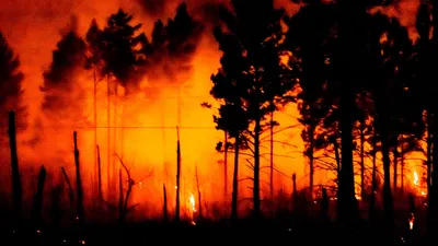Лесные пожары | Пикабу