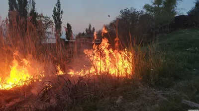 Полыхающие леса в Воронежской области с высоты сняли на видео – Новости  Воронежа и Воронежской области – Вести Воронеж