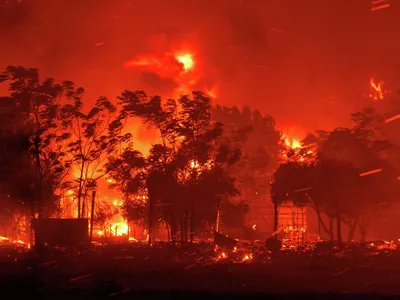 Лес горит — угли летят: пожары в Сибири бьют трехлетние антирекорды |  Статьи | Известия