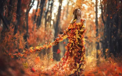 Осенний лес (73 фото) - 73 фото
