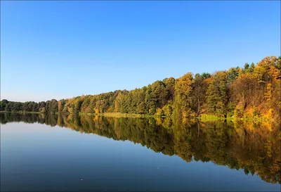 Отчет о рыбалке: Водоём Правдинское водохранилище — Первомайский район —  Сибирский федеральный округ, Алтайский край — № 42845 — fishing-report.ru