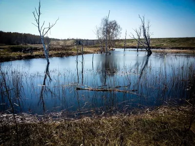 Правдинское водохранилище | Mapio.net