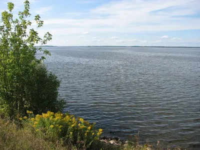 Правдинское водохранилище - Страница 2 - Водоемы и карты - АРК