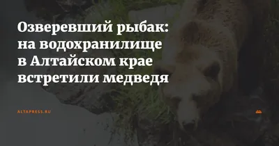 Отчет о рыбалке: Гребной канал — муниципальное образование Барнаул —  Барнаул — Сибирский федеральный округ, Алтайский край — № 42847 —  fishing-report.ru