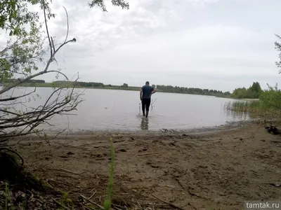 Рыбалка на Правдинском водохранилище - Алтайский край, - координаты, фото,  видео и подробности места