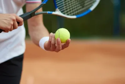Основы большого тенниса: правила игры и техника ударов | Теннисный центр  \"Подмосковье\" | Дзен