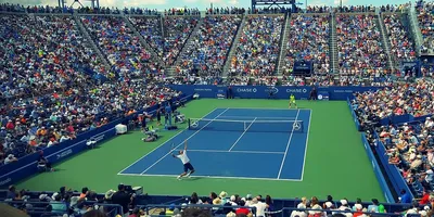Правила игры в большой теннис: кратко основные правила, определения,  аспекты по игре в теннис