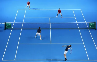 Теннис: вид спорта, история, правила, термины, турниры и звезды