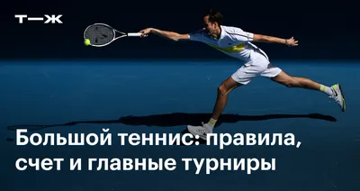 Правила игры в большой теннис для начинающих - integralmuseum.ru