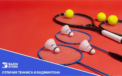Высокая подача: почему большой теннис в России считается элитарным видом  спорта | Forbes Life