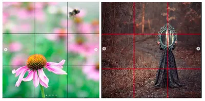 Выстраиваем композицию в фотографии: золотое сечение и правило третей