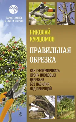 Обрезка плодовых деревьев - основные правила и инструкции