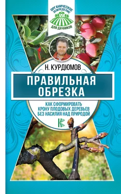 Обрезка плодовых деревьев: я предпочитаю проводить обрезку плодовых деревьев  именно ранней весной | ПОЛИНКИНЫ ГРЯДКИ | Дзен